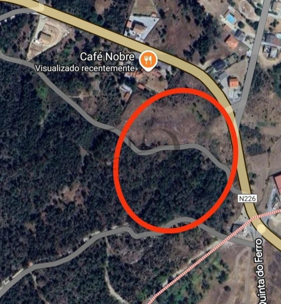 Terreno Agricola ou Rústico para Venda em Trancoso (São Pedro e Santa Maria) e Souto Maior Foto 1