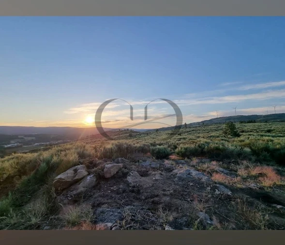 Terreno Agricola ou Rústico para Venda em Trancoso (São Pedro e Santa Maria) e Souto Maior Foto 3