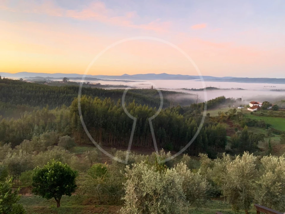 Moradia T3 para Venda em Oliveira do Mondego e Travanca do Mondego Foto 31