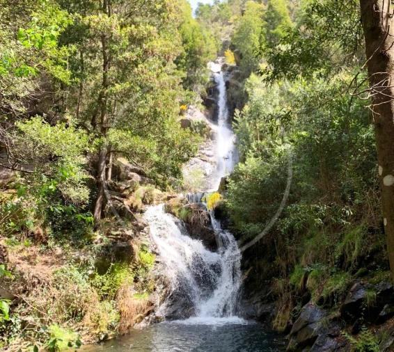Moradia T3 para Venda em Oliveira do Mondego e Travanca do Mondego Foto 33