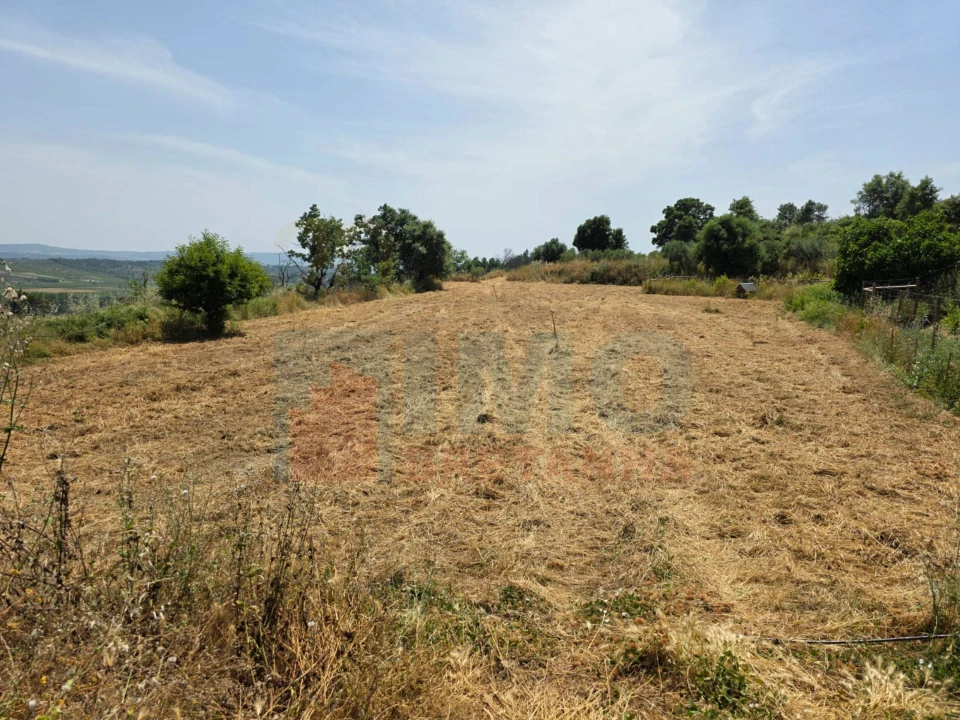 Terreno Misto para Venda em Vale Formoso e Aldeia do Souto Foto 34