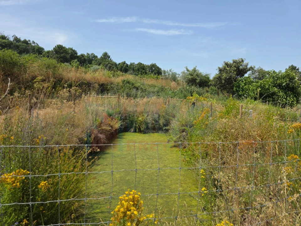 Terreno Misto para Venda em Vale Formoso e Aldeia do Souto Foto 46