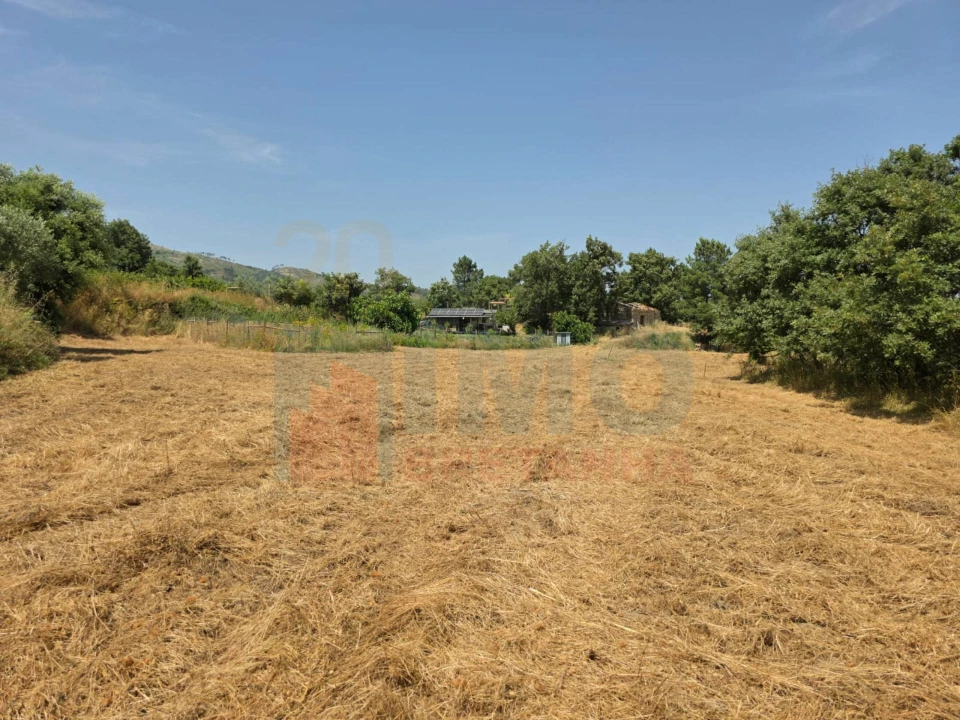 Terreno Misto para Venda em Vale Formoso e Aldeia do Souto Foto 43