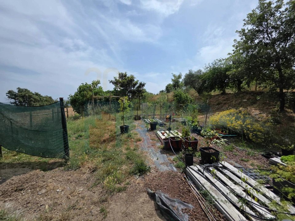 Terreno Misto para Venda em Vale Formoso e Aldeia do Souto Foto 55