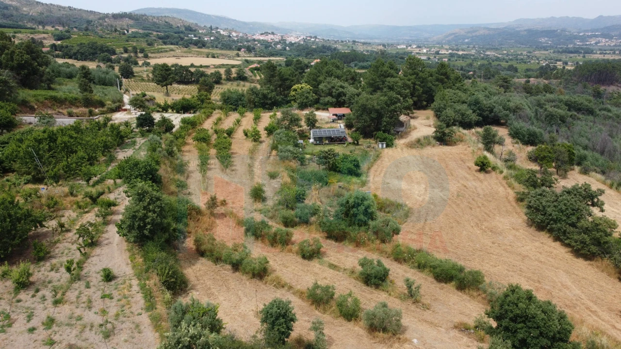 Terreno Misto para Venda em Vale Formoso e Aldeia do Souto Foto 26