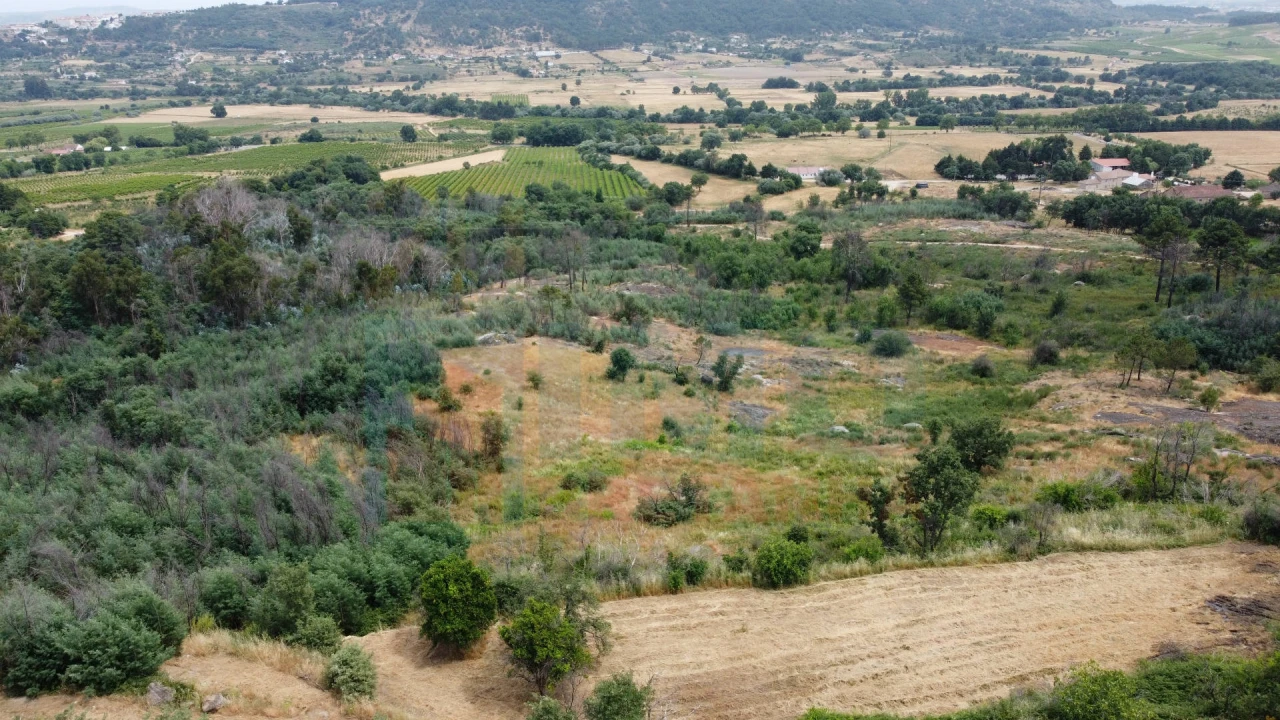 Terreno Misto para Venda em Vale Formoso e Aldeia do Souto Foto 28