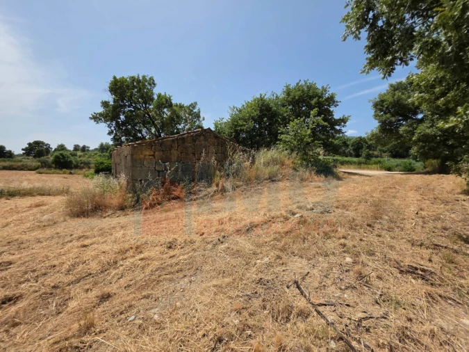 Terreno Misto para Venda em Vale Formoso e Aldeia do Souto Foto 38