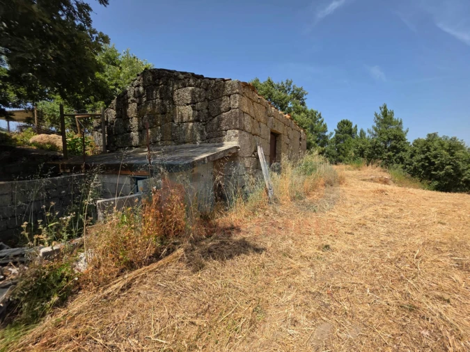 Terreno Misto para Venda em Vale Formoso e Aldeia do Souto Foto 36