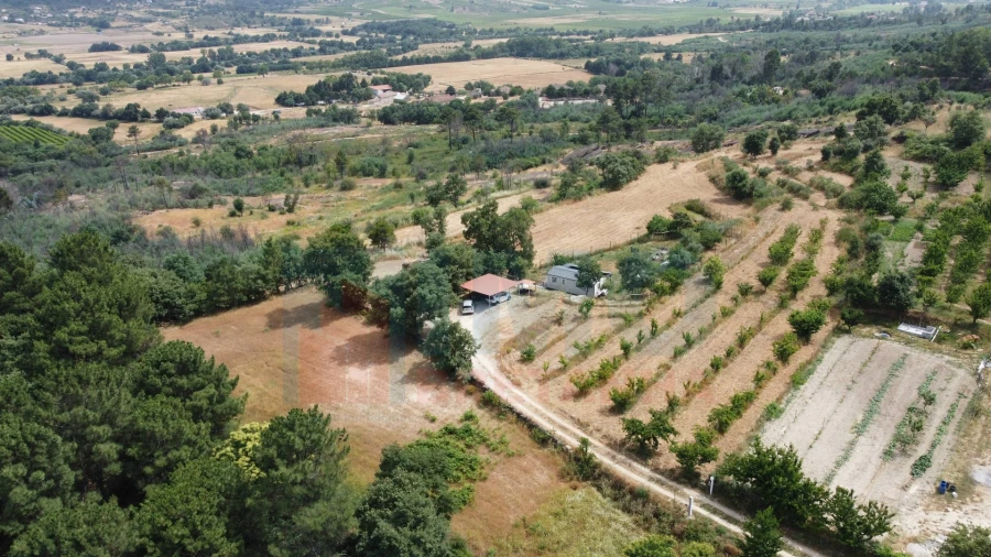 Terreno Misto para Venda em Vale Formoso e Aldeia do Souto Foto 33