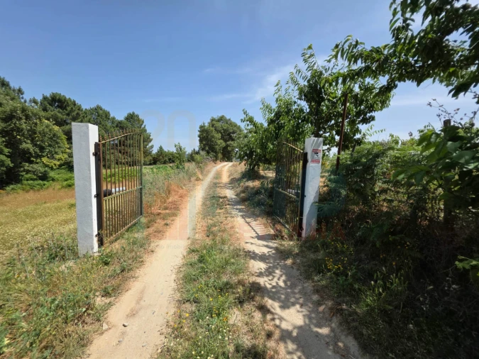 Terreno Misto para Venda em Vale Formoso e Aldeia do Souto Foto 17