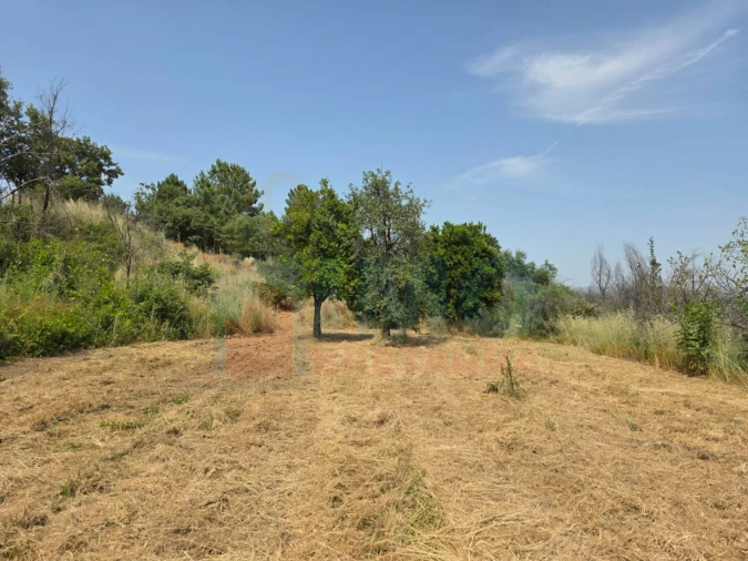 Terreno Misto para Venda em Vale Formoso e Aldeia do Souto Foto 56