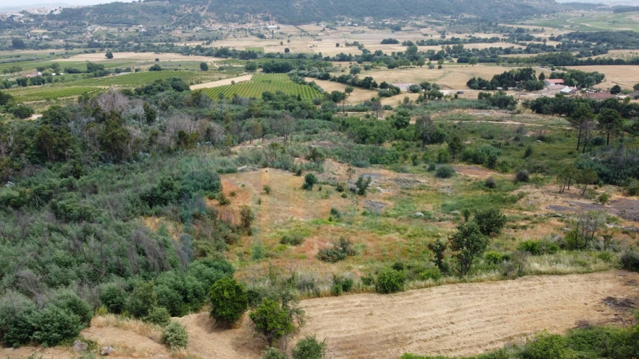 Terreno Misto para Venda em Vale Formoso e Aldeia do Souto Foto 28