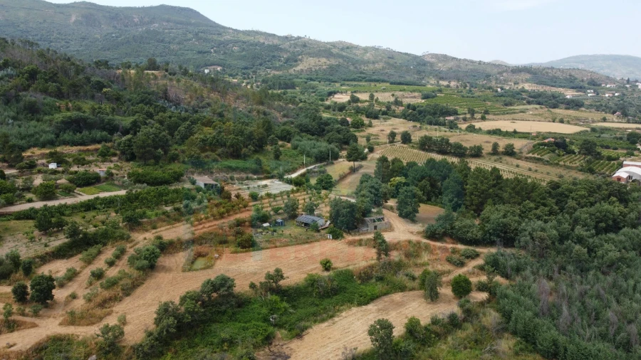 Terreno Misto para Venda em Vale Formoso e Aldeia do Souto Foto 31
