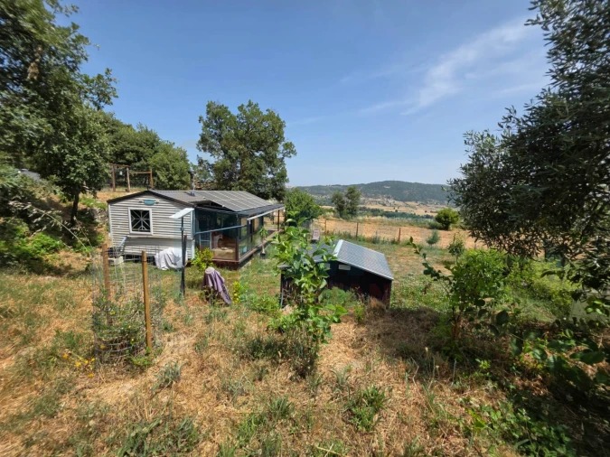 Terreno Misto para Venda em Vale Formoso e Aldeia do Souto Foto 41