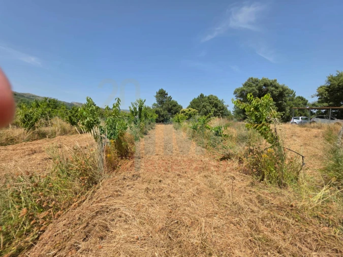 Terreno Misto para Venda em Vale Formoso e Aldeia do Souto Foto 40