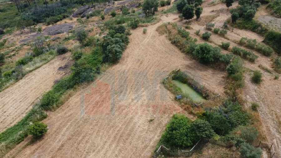 Terreno Misto para Venda em Vale Formoso e Aldeia do Souto Foto 27