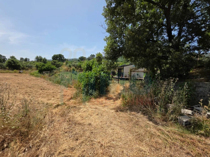 Terreno Misto para Venda em Vale Formoso e Aldeia do Souto Foto 37