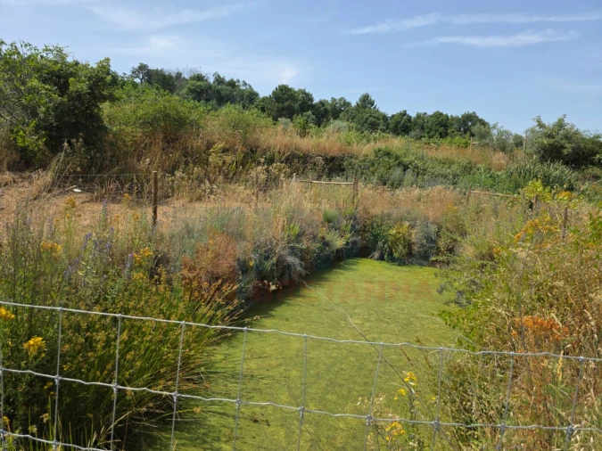 Terreno Misto para Venda em Vale Formoso e Aldeia do Souto Foto 44