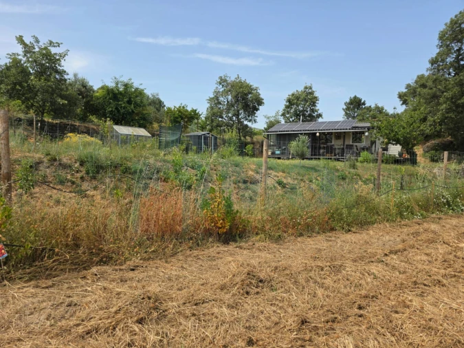 Terreno Misto para Venda em Vale Formoso e Aldeia do Souto Foto 53