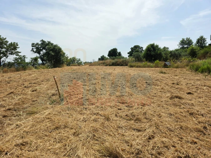 Terreno Misto para Venda em Vale Formoso e Aldeia do Souto Foto 50