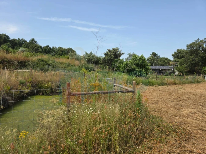 Terreno Misto para Venda em Vale Formoso e Aldeia do Souto Foto 49