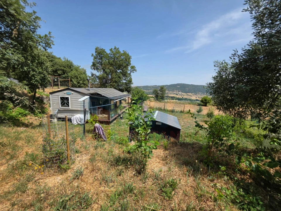 Terreno Misto para Venda em Vale Formoso e Aldeia do Souto Foto 41
