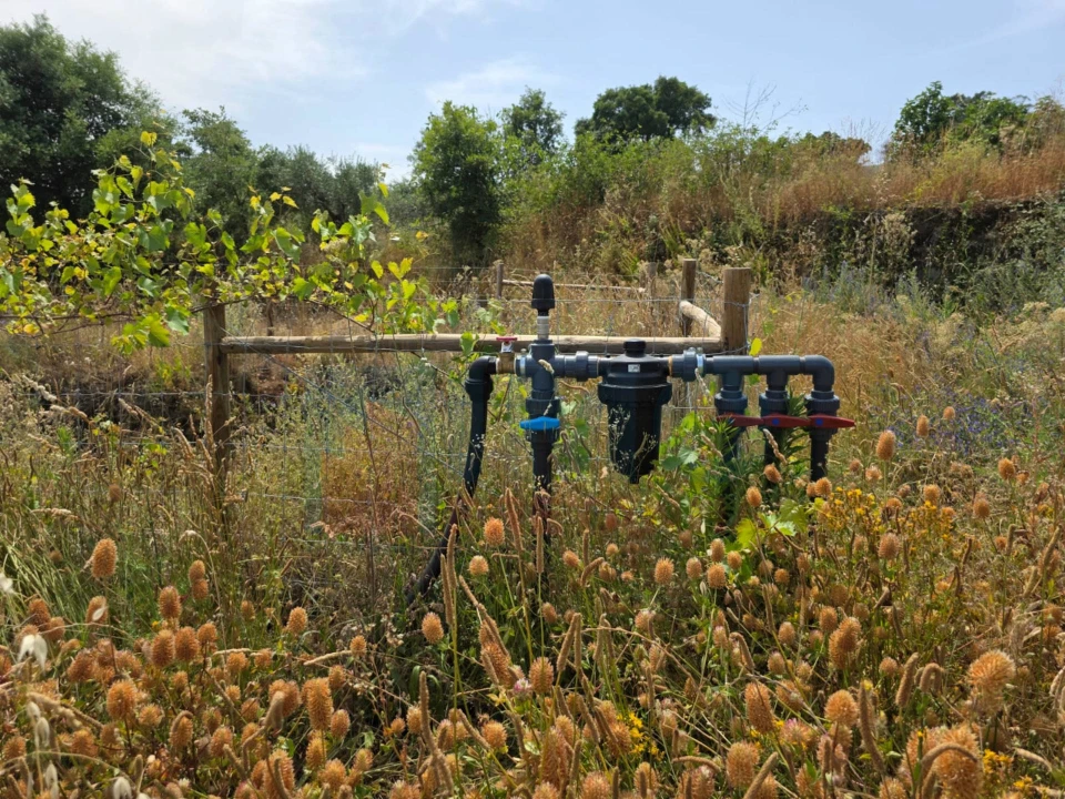 Terreno Misto para Venda em Vale Formoso e Aldeia do Souto Foto 47