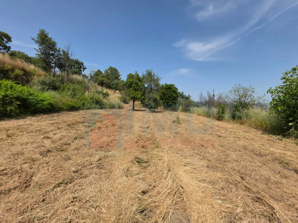 Terreno Misto para Venda em Vale Formoso e Aldeia do Souto Foto 54