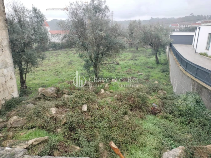 Terreno para Venda em Rio de Loba Foto 6
