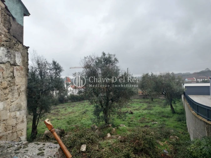 Terreno para Venda em Rio de Loba Foto 5