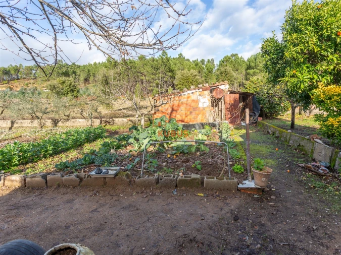 Moradia T3 para Venda em Mação, Penhascoso e Aboboreira Foto 22