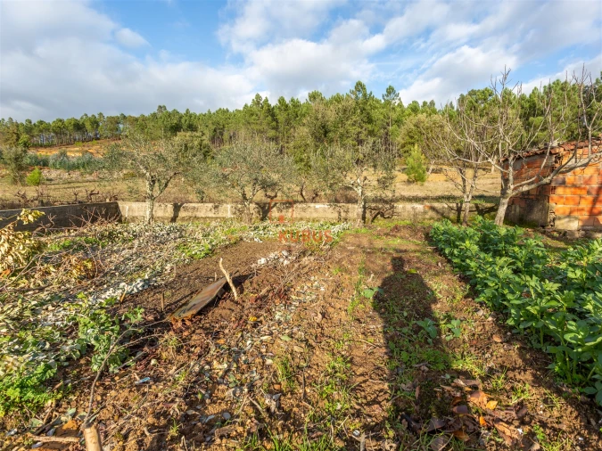 Moradia T3 para Venda em Mação, Penhascoso e Aboboreira Foto 24