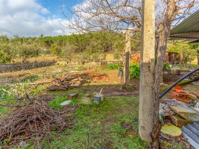 Moradia T3 para Venda em Mação, Penhascoso e Aboboreira Foto 26
