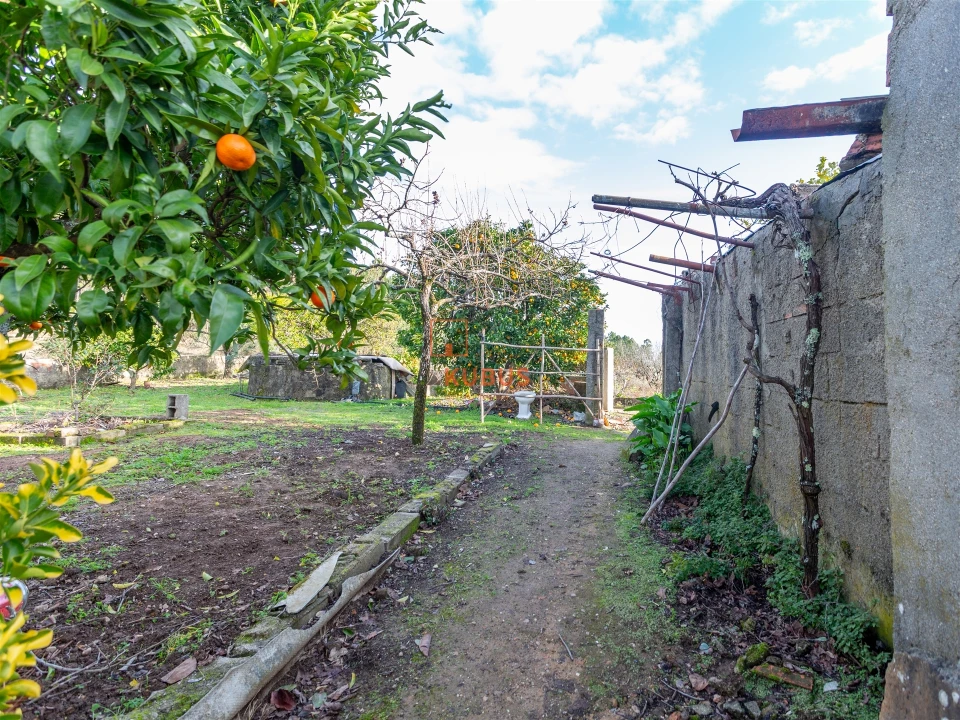 Moradia T3 para Venda em Mação, Penhascoso e Aboboreira Foto 21