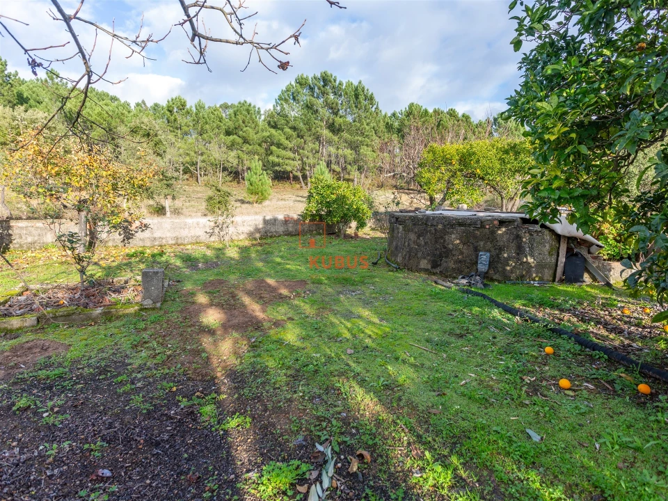 Moradia T3 para Venda em Mação, Penhascoso e Aboboreira Foto 27