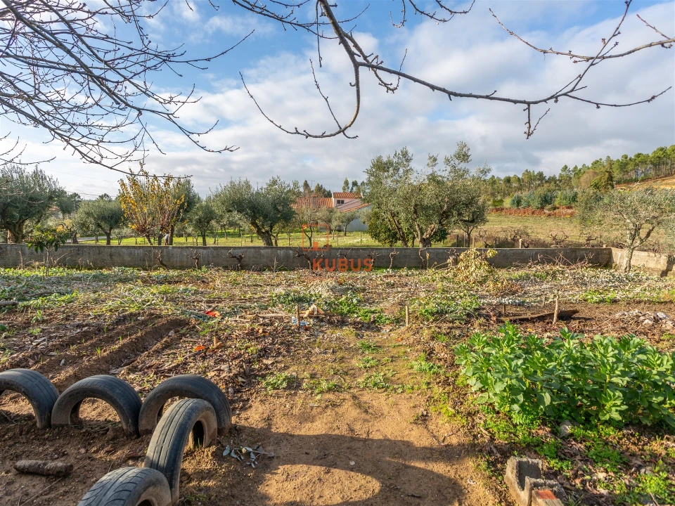 Moradia T3 para Venda em Mação, Penhascoso e Aboboreira Foto 23
