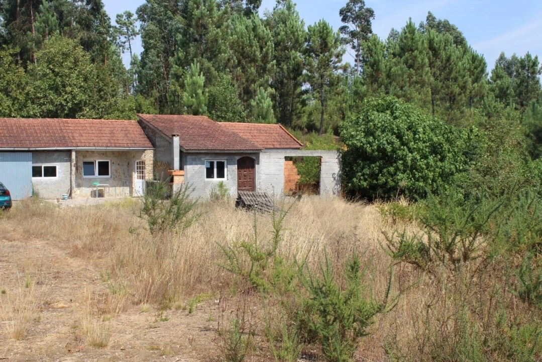 Terreno para Venda em Carvalhais e Candal Foto 20