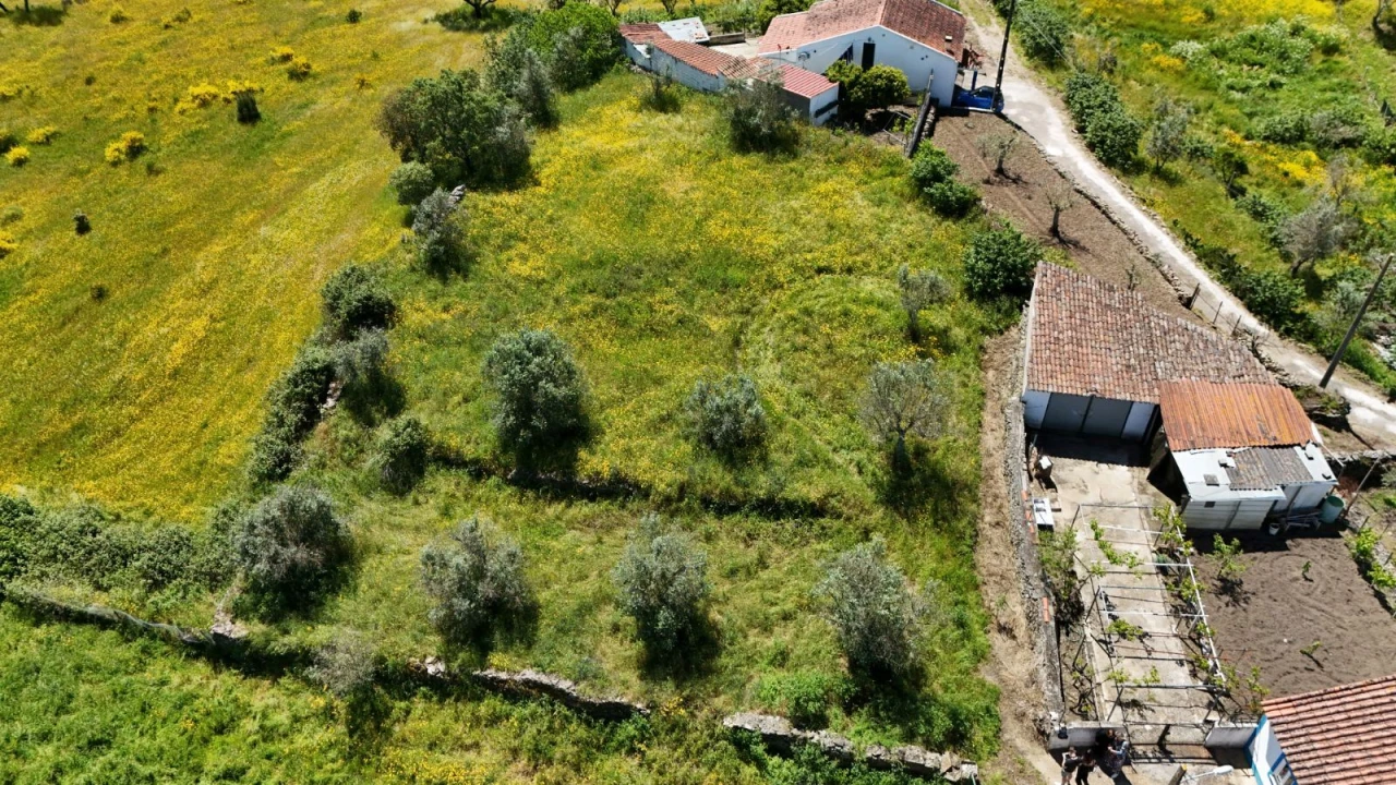 Terreno Agricola ou Rústico para Venda em Gavião e Atalaia Foto 3
