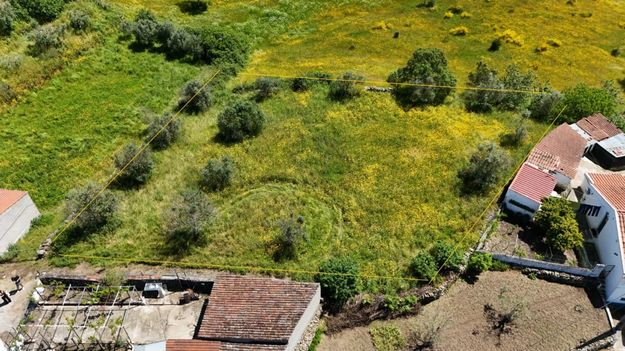 Terreno Agricola ou Rústico para Venda em Gavião e Atalaia Foto 5