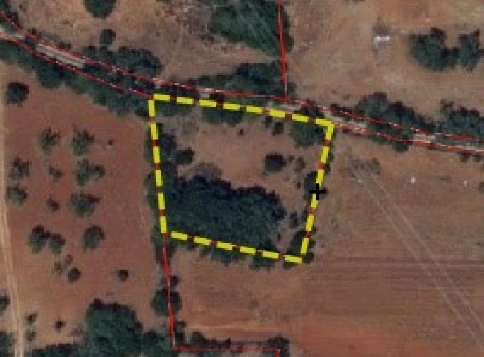 Terreno Agricola ou Rústico para Venda em Quelfes Planta 1