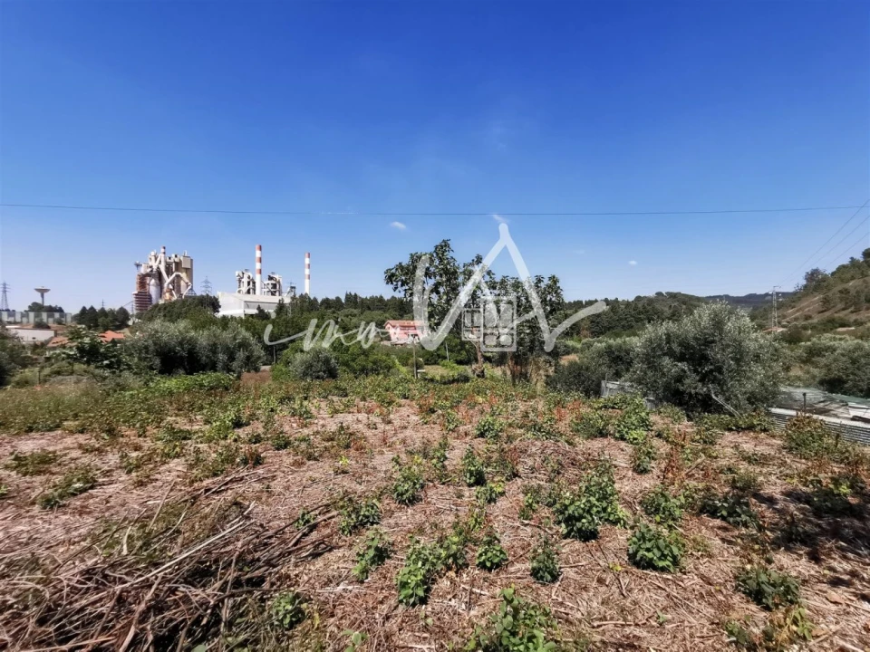 Terreno para Venda em Souselas e Botão Foto 5