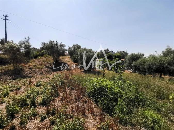 Terreno para Venda em Souselas e Botão Foto 2