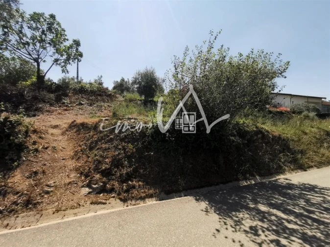 Terreno para Venda em Souselas e Botão Foto 9