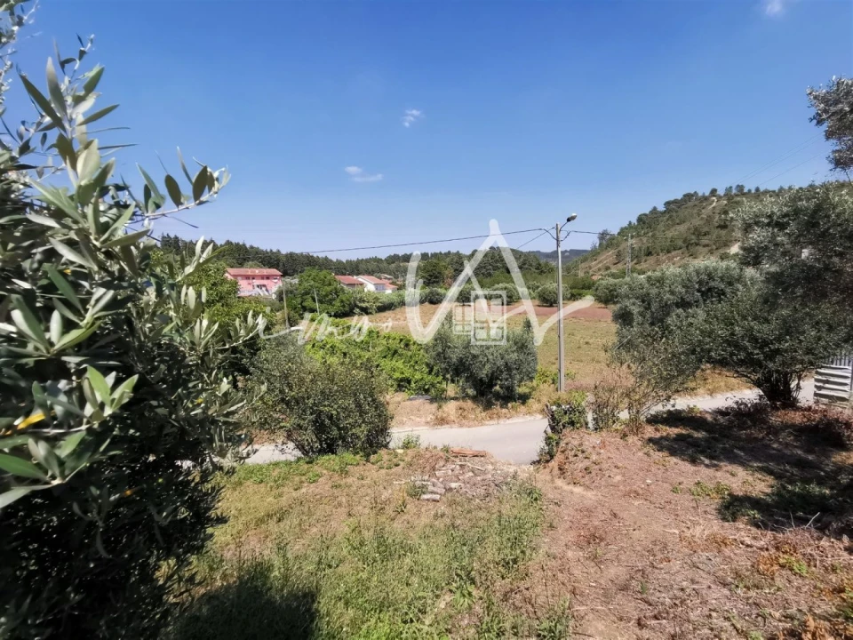 Terreno para Venda em Souselas e Botão Foto 8