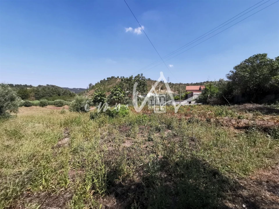 Terreno para Venda em Souselas e Botão Foto 7