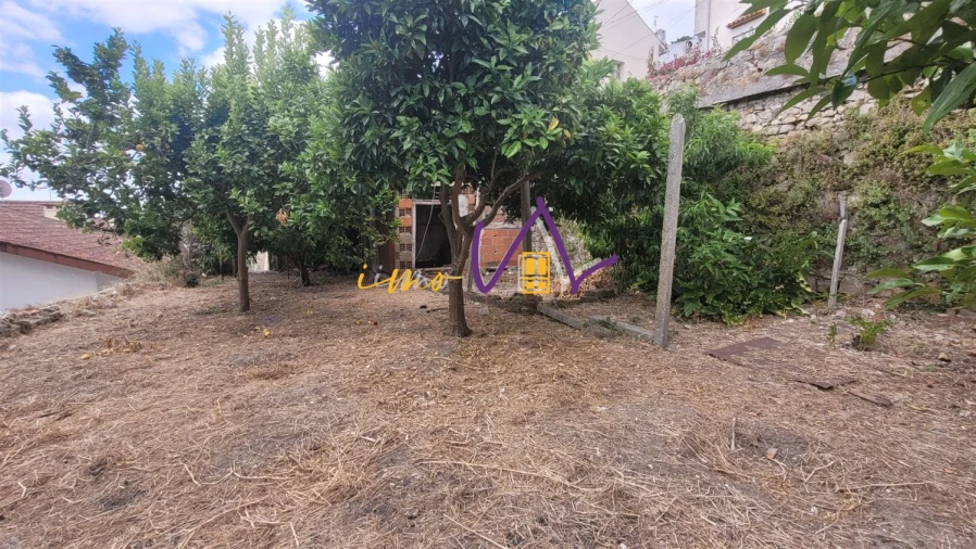 Terreno para Venda em Montemor-O-Velho e Gatões Foto 6
