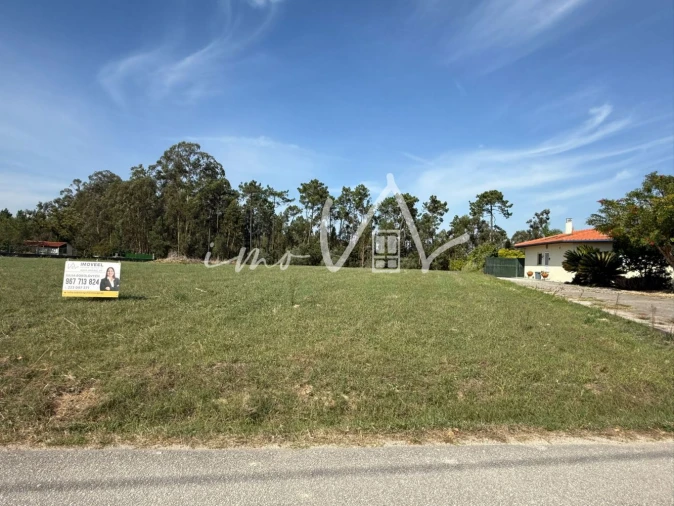 Terreno para Venda em Louriçal Foto 1