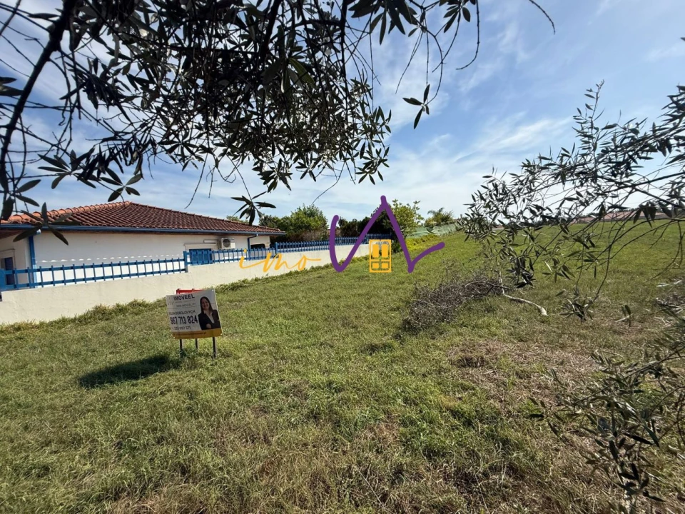 Terreno para Venda em Louriçal Foto 6