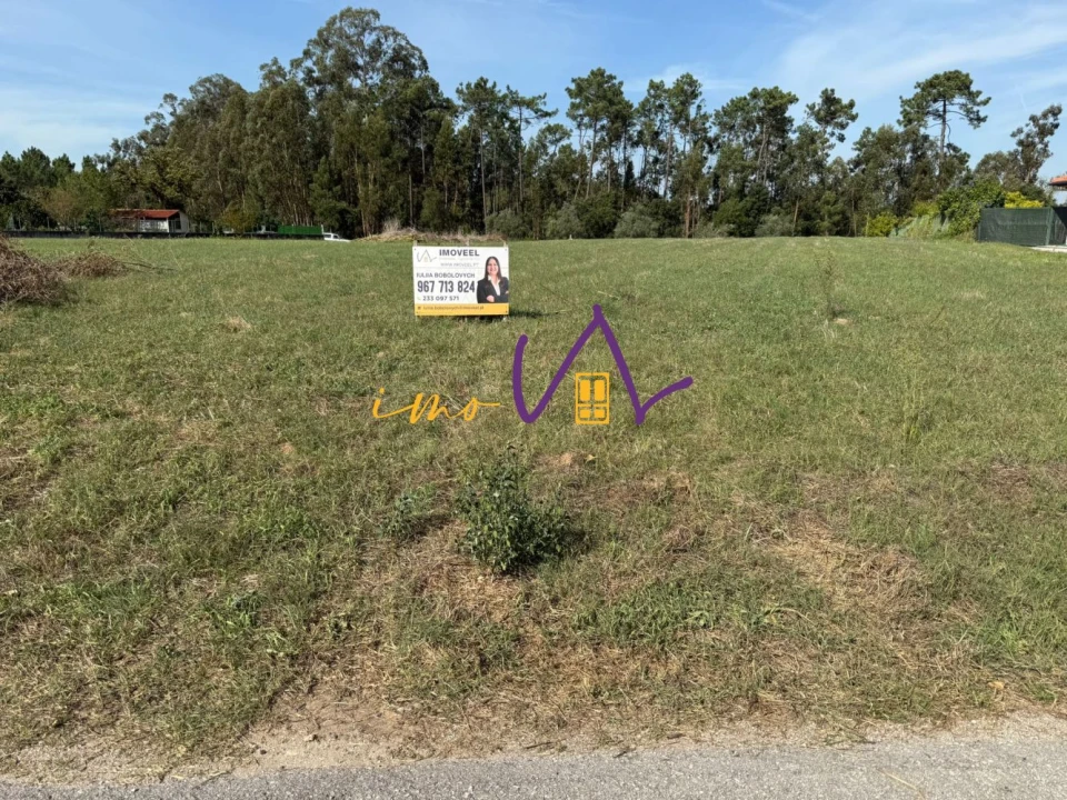 Terreno para Venda em Louriçal Foto 4