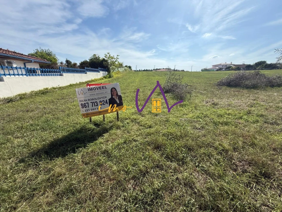 Terreno para Venda em Louriçal Foto 7
